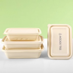 Take Away Food Box